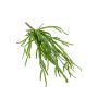 Kunstpflanze Sukkulente Rhipsalis HADRIAN, hängend, auf Steckstab, grün, 35cm