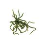 Kunst Sukkulente Crassula Perforata ARMANDO auf Steckstab, grün, 30cm