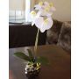 Kunstorchidee Phalaenopsis EMILIA, Keramiktopf, weiß, 45cm