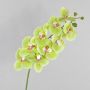 Phalaenopsis Orchideenzweig künstlich OPHELIA, grün-pink, 100cm, Ø9-12cm