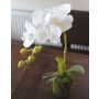 Kunst Phalaenopsis Orchidee VEENA im Erdball, weiß, 40cm