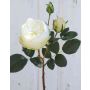 Kohl-Rose künstlich MIRETTA, creme-weiß, 60cm, Ø3-9cm