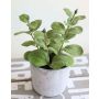 Deko Minze künstlich ALBUS im Betontopf, grün, 17cm