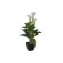 Plastik Calla JAMILA im Dekotopf, weiß, 40cm, 4x6cm
