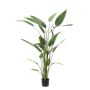 Kunstpflanze Heliconia ANURIA, 175cm