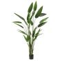Kunstpflanze Heliconia ANURIA, 220cm