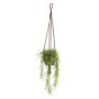 Künstliche Asparagus plumosus Blumenampel SILIJA, Terracotta Topf, 80cm