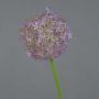 Künstlicher Allium SAMARA, lila, 75cm, Ø12cm