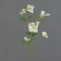 Unechter Zweig Japanischer Hartriegel KOHANA mit Blüten, creme, 65cm, Ø4-8cm
