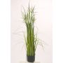 Künstliches Sterngras TAIGA mit Rispen, grün, 110cm