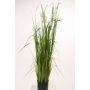 Künstliches Sterngras TAIGA mit Rispen, grün, 140cm