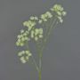 Kunstzweig Zimmeraralie YARED mit Blüten, creme-grün, 85cm, Ø2,5cm