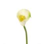 Kunstblume Calla CHIDORA, creme, 55cm, 4,5x5,5cm