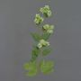 Künstlicher Hopfenzweig AXEL mit Blüten, hellgrün, 75cm, Ø3cm