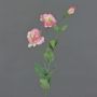 Künstlicher Lisianthus Zweig NOWA, rosa, 80cm, Ø7cm