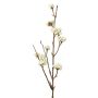 Liebesperlenstrauch Zweig künstlich LARINA mit Beeren, creme, 50cm