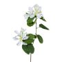 Dekozweig Bauhinia DRELMO, weiß, 85cm