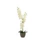 Kunst Orchidee Phalaenopsis KATALIN, Dekotopf, creme, 80cm