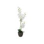 Kunst Orchidee Phalaenopsis KATALIN, Dekotopf, weiß, 80cm
