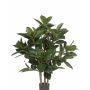 Künstlicher Gummibaum KAYDEN, Naturstämme, grün, 80cm