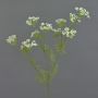 Künstlicher Dillzweig WINCENT mit Blüten, weiß, 80cm, Ø5-7cm