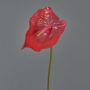 Flamingoblume künstlich MOIRA, rot, 75cm, 13x18cm