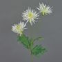 Chrysantheme Zweig künstlich SOLVIE, weiß-gelb, 75cm, Ø11-12cm
