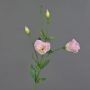 Künstliche Lisianthus JUDIKA, rosa-weiß-grün, 70cm, Ø6-7cm