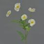 Textil Zweig Mohnblume KEIRA, weiß, 65cm, Ø5-6cm