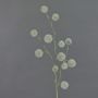 Künstlicher Ballon-Wolfsmilch EMRAH, grün-grau, 80cm, Ø3-4,5cm