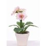 Künstliche Gerbera SIMONE im Dekotopf, rosa, 30cm, Ø9,5cm