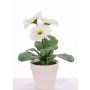 Künstliche Gerbera SIMONE im Dekotopf, weiß, 30cm, Ø9,5cm