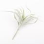 Plastik Tillandsia Stricta ADELE auf Steckstab, grün-grau, 25cm, Ø20cm