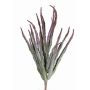Euphorbia sipolisii künstlich REESE auf Steckstab, rot-grün, 30cm, Ø20cm