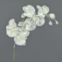 Kunstblume Phalaenopsis Orchidee MYRIA, beschneit, weiß, 65cm, Ø6-10cm