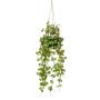 Kunstpflanze Leuchterblume Blumenampel BOLTEN, grün, 50cm