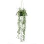 Kunstpflanze Senecio Blumenampel BOLTEN, grün, 70cm