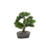 Plastik Bonsai Pinie GALDOS in Schale, 30cm