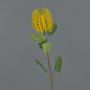 Kunstblume Banksia robur CONAKIR, gelb, 55cm, Ø6,5cm