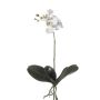 Kunststoff Phalaenopsis Orchidee FAO auf Steckstab, weiß, 45cm