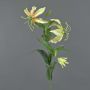 Kunstblume Ruhmeskrone CELESTE, gelb-pfirsich, 80cm, Ø6-12cm