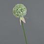 Künstliche Allium DURBAN, weiß, 70cm, Ø9cm