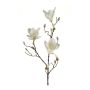 Künstliche Magnolie MALVAO, creme, 90cm, Ø10-12cm