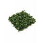 Kunstpflanzen Matte / Hecke Efeu Buchs Farn DAOIZ, crossdoor, 50x50cm