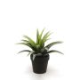 Kunstpflanze Agave decipiens SEDA, grün, 20cm, Ø25cm