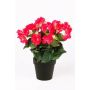 Künstliche Blume Begonie DOBRADA, pink, 30cm, Ø8-10cm