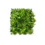 Kunstpflanzen Matte / Hecke Schefflera Gras ENZIO, crossdoor, grün, 50x50cm