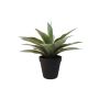 Kunst Sukkulente Drachenbaum-Agave DESIREE, grün, 20cm, Ø25cm