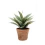 Kunst Sukkulente Drachenbaum-Agave DESIREE im Terracotta Topf, grün, 20cm, Ø25cm
