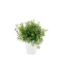 Kräuter künstlich Asparagus sprengeri JOSHUA im Keramiktopf, 20cm, Ø17cm